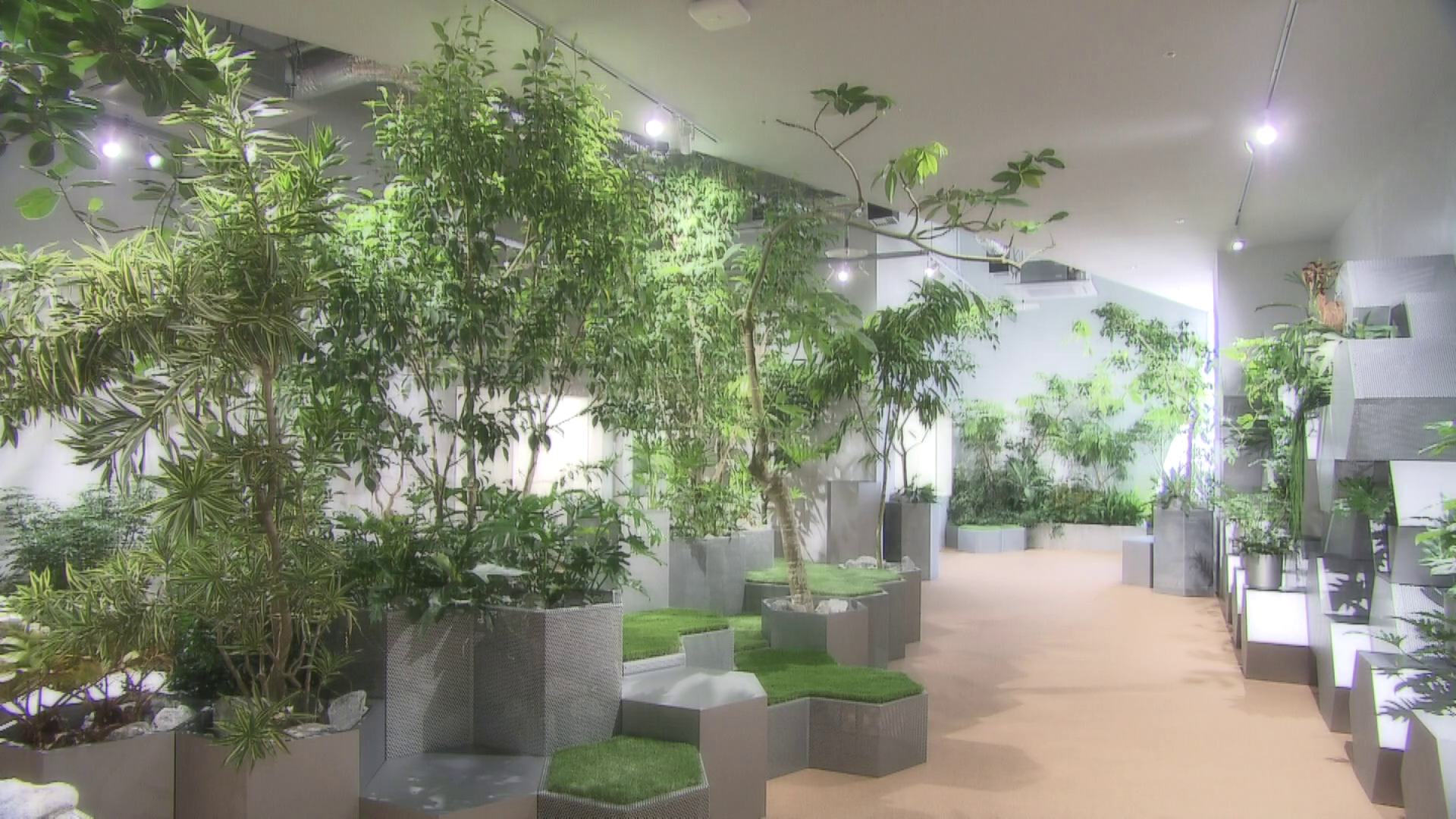 熱帯の植物が生い茂る都会のオアシス「グリーンルーム」