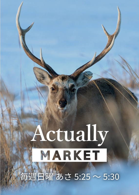 Actually MARKET