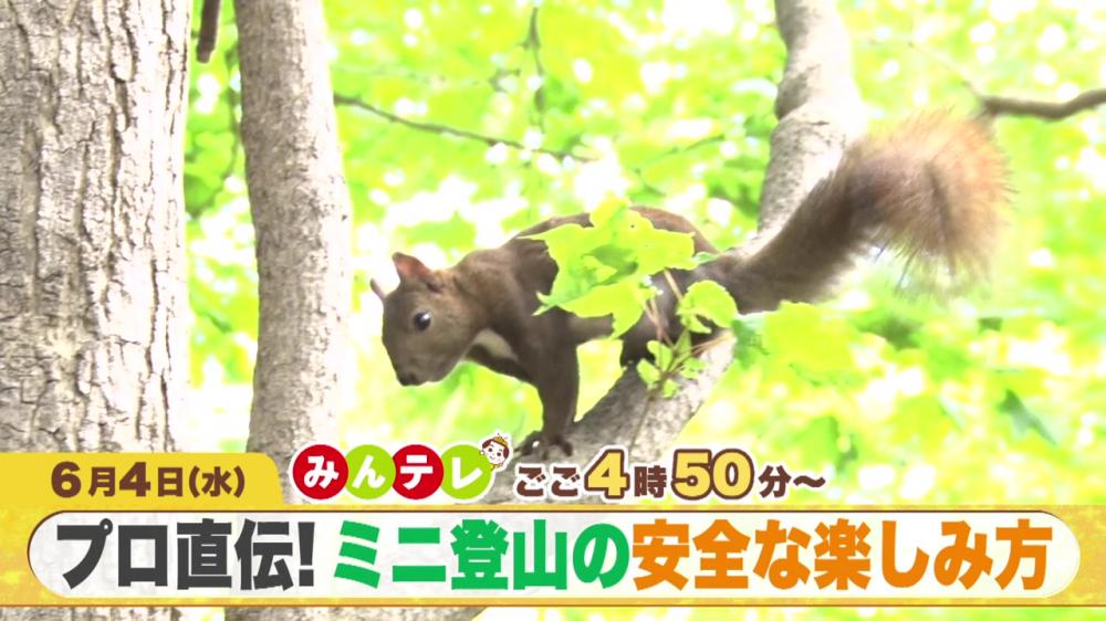 みんテレ
