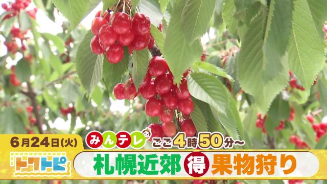 みんテレ