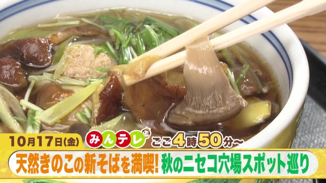 みんテレ