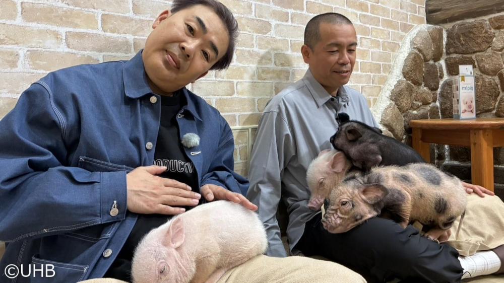 発見！タカトシランド