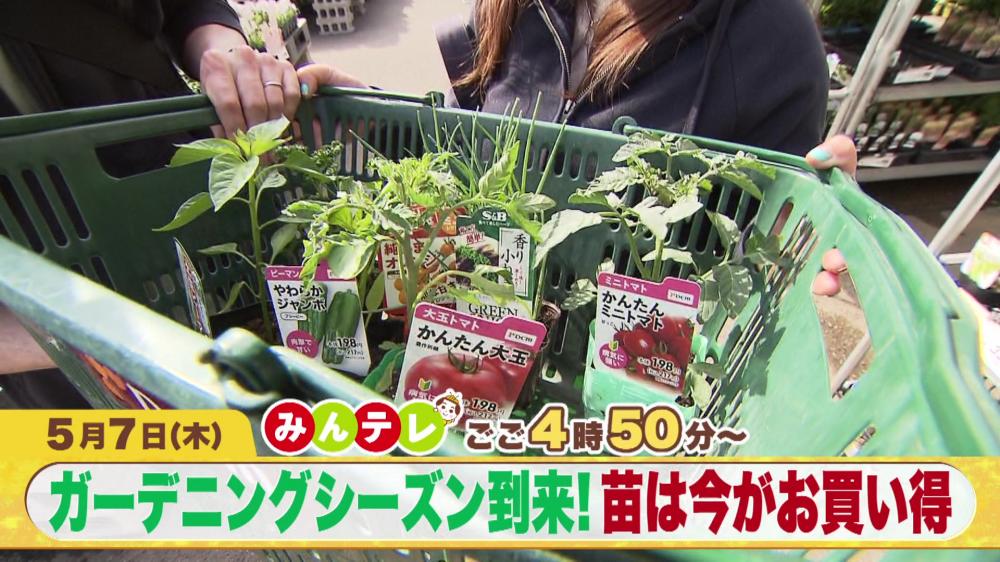 みんテレ