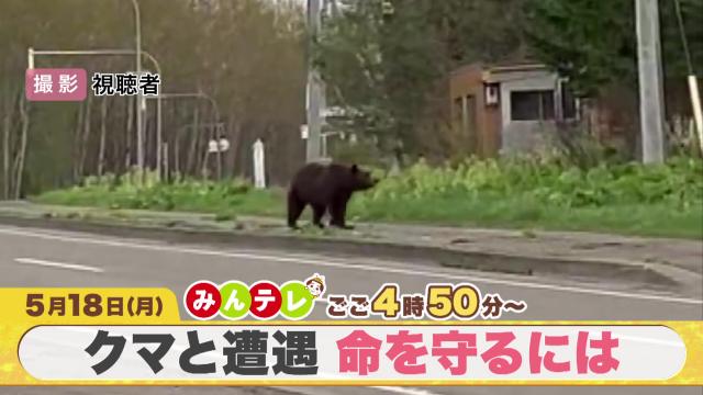 みんテレ