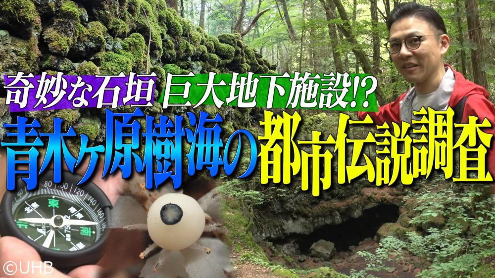 世界の何だコレ！？ミステリー