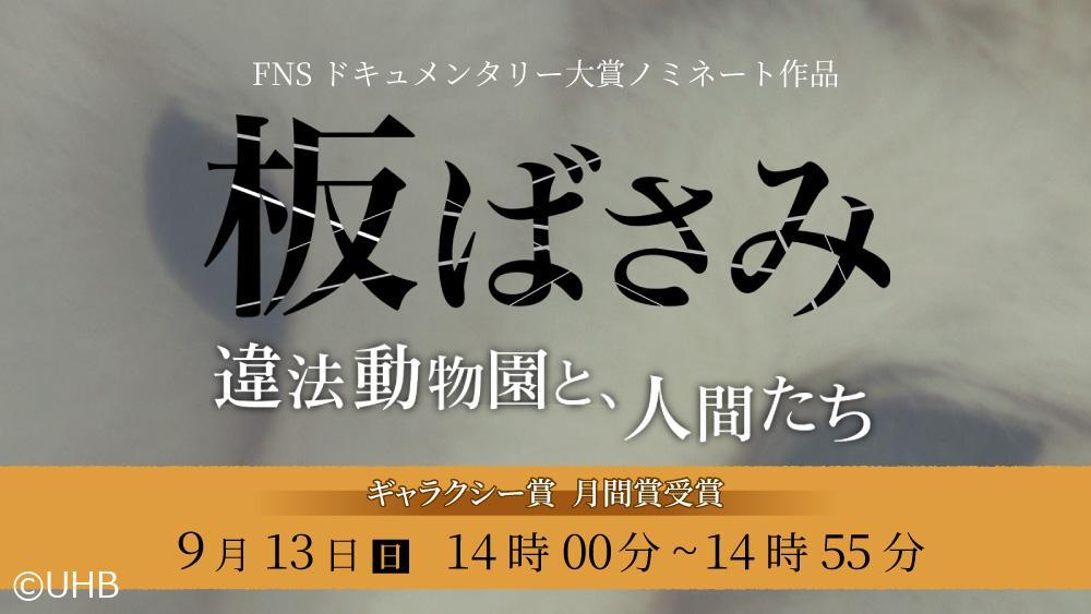 ギャラクシー賞　月間賞受賞　板ばさみ　違法動物園と、人間たち