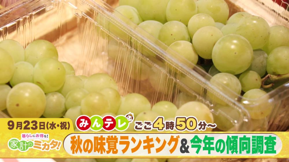 みんテレ