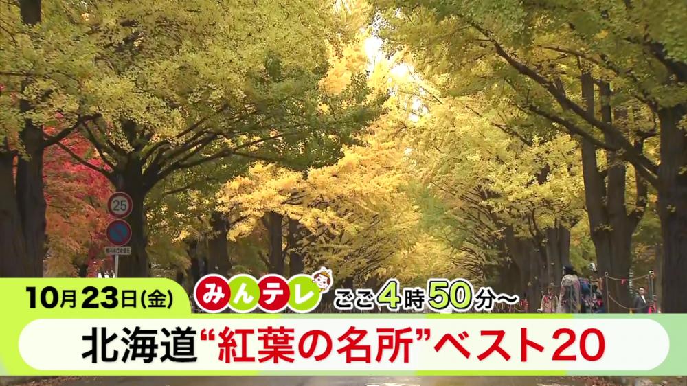 みんテレ