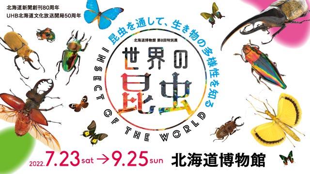 北海道博物館第8回特別展 「世界の昆虫」―昆虫を通して、生き物の多様性を知る―