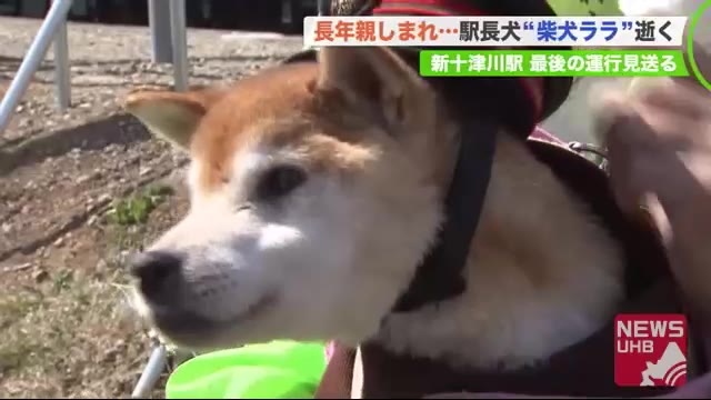 北海道ニュース Uhb Uhb 北海道文化放送