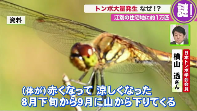 北海道ニュース Uhb Uhb 北海道文化放送 北海道ニュース Uhb Uhb 北海道文化放送