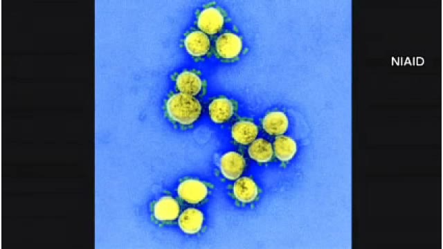 北海道ニュース Uhb Uhb 北海道文化放送
