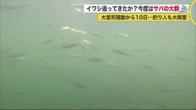 北海道ニュース Uhb Uhb 北海道文化放送