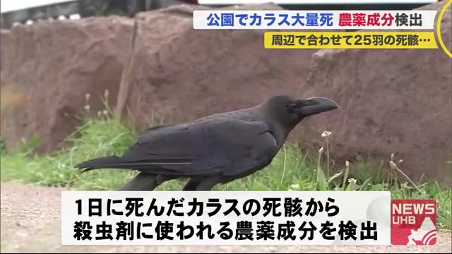 北海道ニュース Uhb Uhb 北海道文化放送 北海道ニュース Uhb Uhb 北海道文化放送
