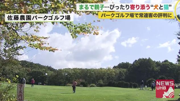 北海道ニュース Uhb Uhb 北海道文化放送