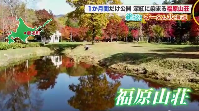 北海道ニュース Uhb Uhb 北海道文化放送