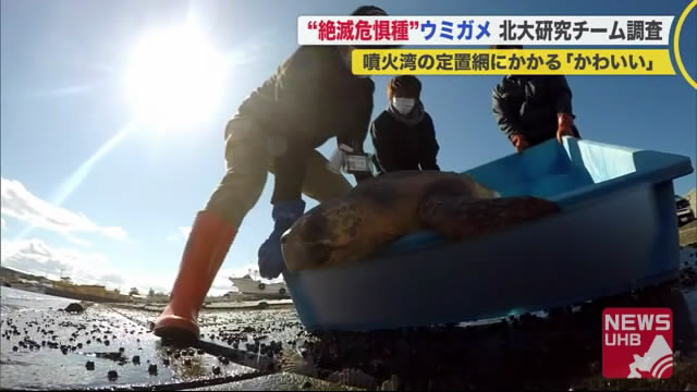 北海道ニュース Uhb Uhb 北海道文化放送