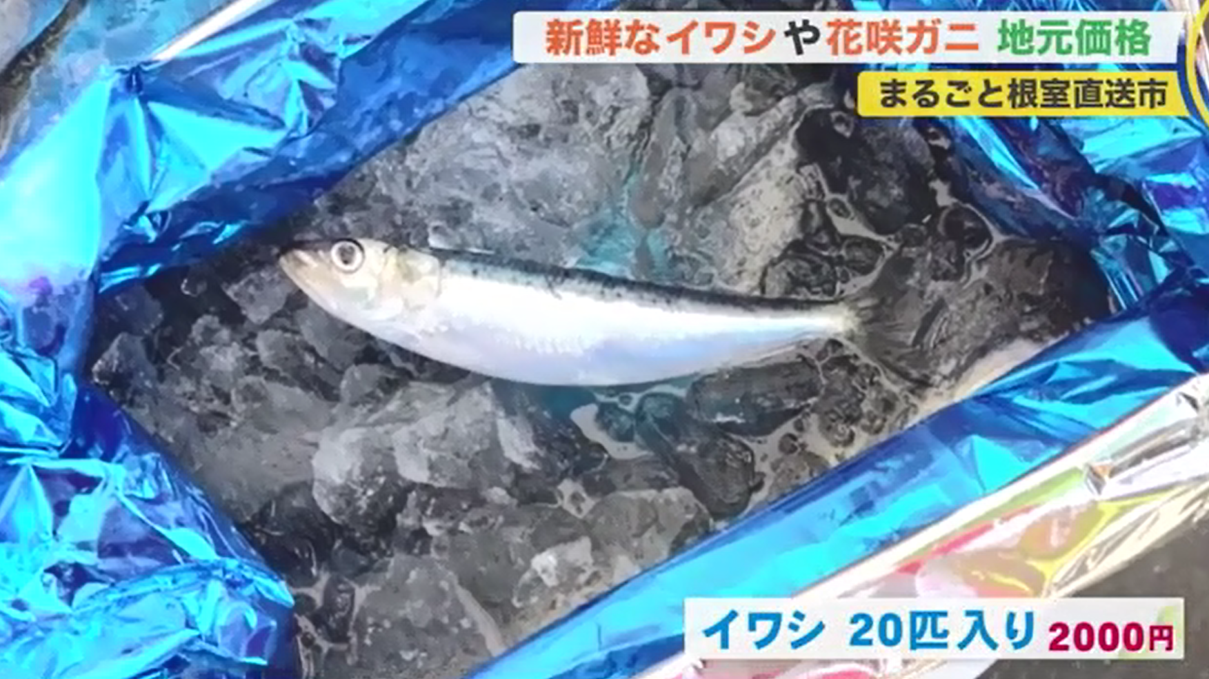 北海道ニュース Uhb Uhb 北海道文化放送 北海道ニュース Uhb Uhb 北海道文化放送