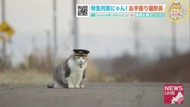 北海道ニュース Uhb Uhb 北海道文化放送