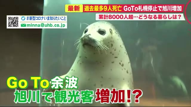 北海道ニュース Uhb Uhb 北海道文化放送