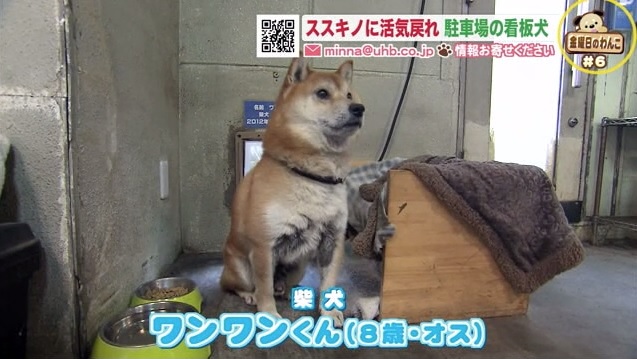 北海道ニュース Uhb Uhb 北海道文化放送 北海道ニュース Uhb Uhb 北海道文化放送