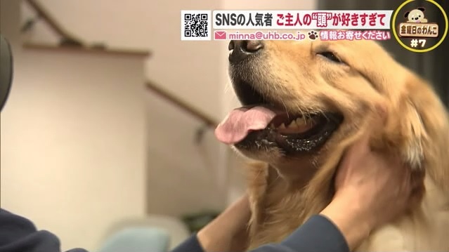 北海道ニュース Uhb Uhb 北海道文化放送 北海道ニュース Uhb Uhb 北海道文化放送