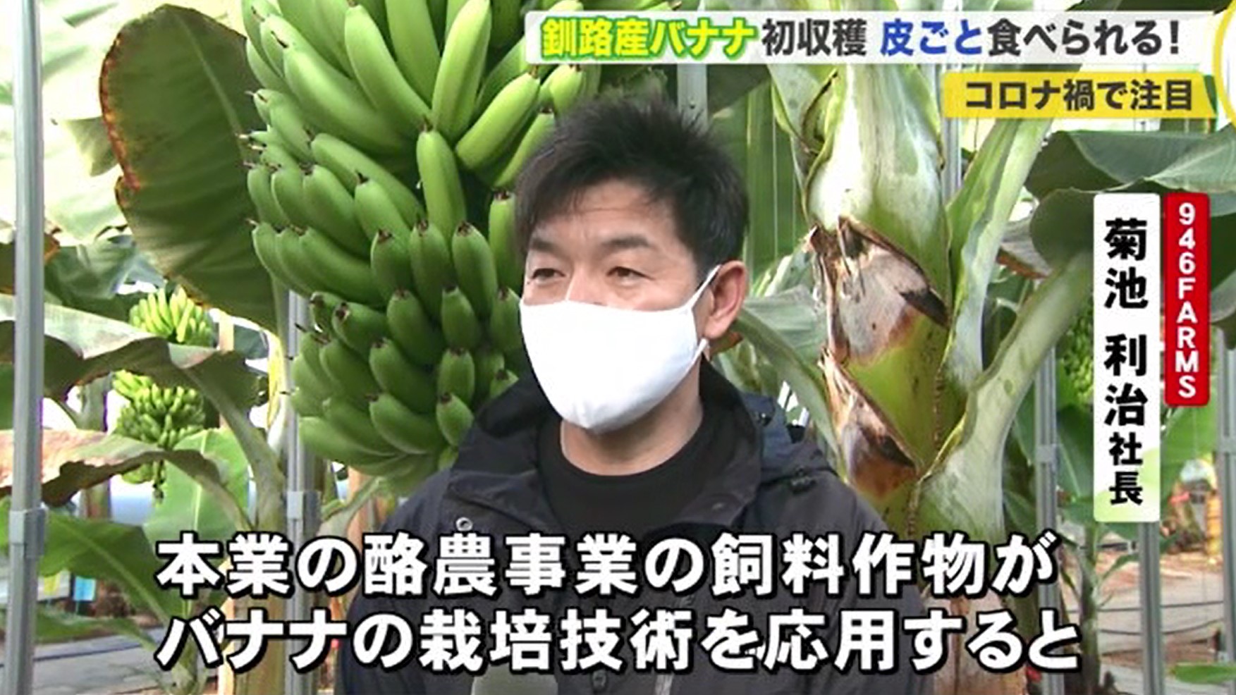 北海道ニュース Uhb Uhb 北海道文化放送