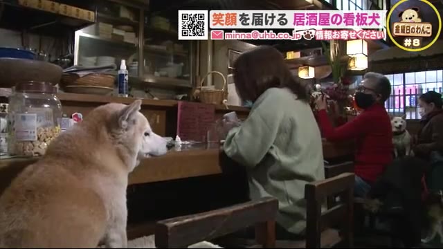 北海道ニュース Uhb Uhb 北海道文化放送