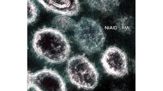 北海道ニュース Uhb Uhb 北海道文化放送