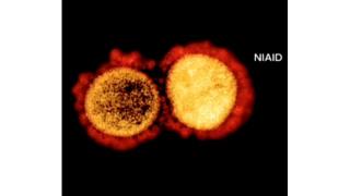 北海道ニュース Uhb Uhb 北海道文化放送