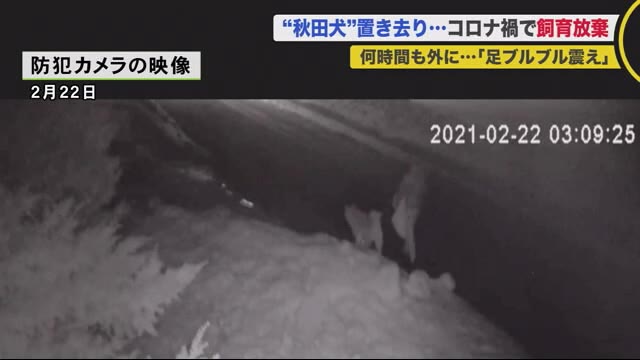 北海道ニュース Uhb Uhb 北海道文化放送 北海道ニュース Uhb Uhb 北海道文化放送