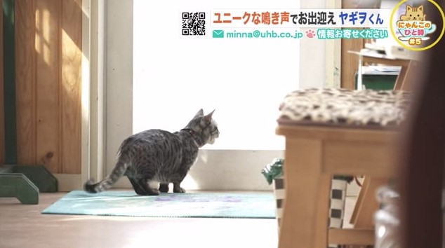 北海道ニュース Uhb Uhb 北海道文化放送 北海道ニュース Uhb Uhb 北海道文化放送