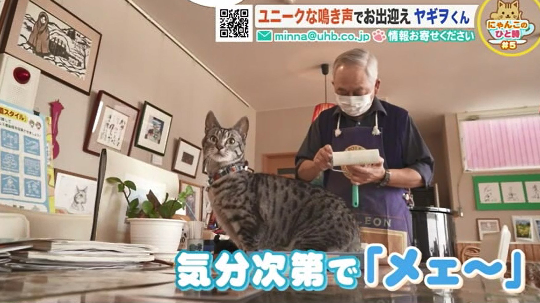 北海道ニュース Uhb Uhb 北海道文化放送 北海道ニュース Uhb Uhb 北海道文化放送