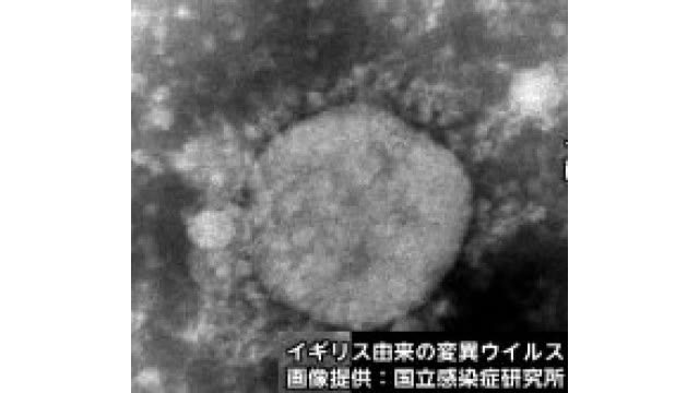 北海道ニュース Uhb Uhb 北海道文化放送 北海道ニュース Uhb Uhb 北海道文化放送