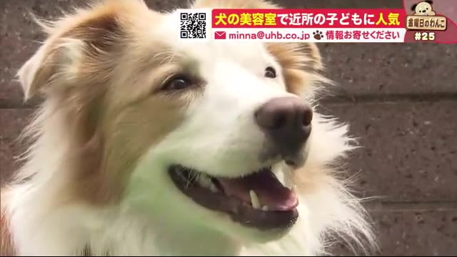 北海道ニュース Uhb Uhb 北海道文化放送 北海道ニュース Uhb Uhb 北海道文化放送