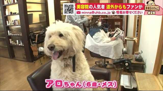 北海道ニュース Uhb Uhb 北海道文化放送