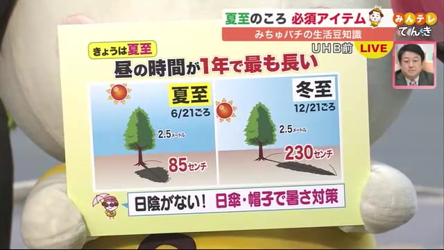 Uhb 北海道文化放送 Uhb 北海道文化放送