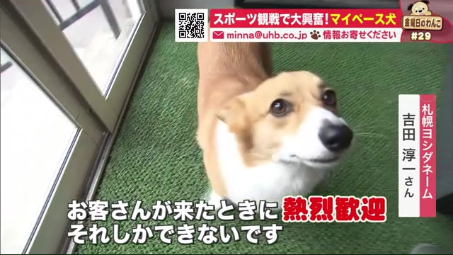 北海道ニュース Uhb Uhb 北海道文化放送 北海道ニュース Uhb Uhb 北海道文化放送