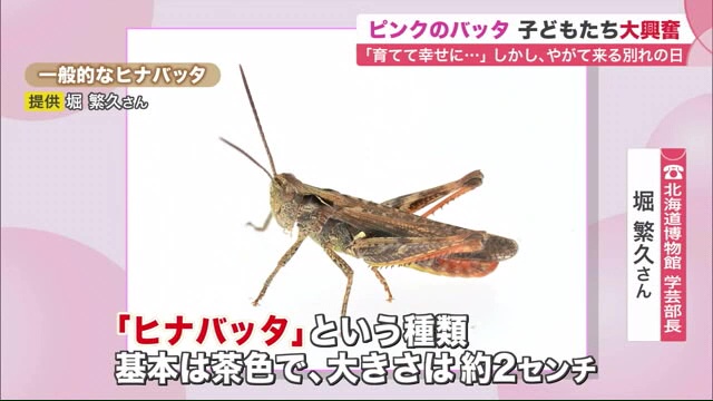 北海道ニュース Uhb Uhb 北海道文化放送