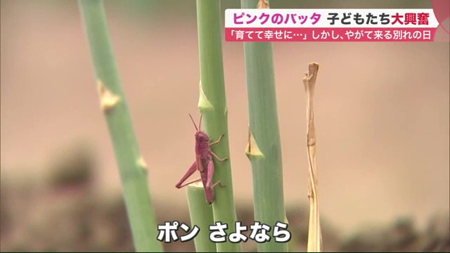 北海道ニュース Uhb Uhb 北海道文化放送 北海道ニュース Uhb Uhb 北海道文化放送