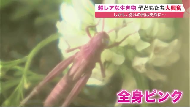 北海道ニュース Uhb Uhb 北海道文化放送 北海道ニュース Uhb Uhb 北海道文化放送
