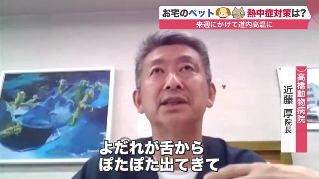 北海道ニュース Uhb Uhb 北海道文化放送 北海道ニュース Uhb Uhb 北海道文化放送