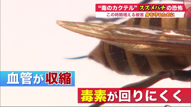 北海道ニュース Uhb Uhb 北海道文化放送 北海道ニュース Uhb Uhb 北海道文化放送