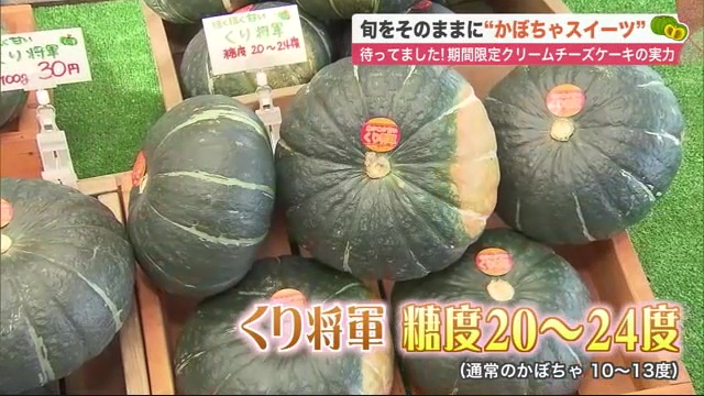 南瓜长不大死掉落果是怎么回事 怎么防治南瓜化瓜发生 每日头条