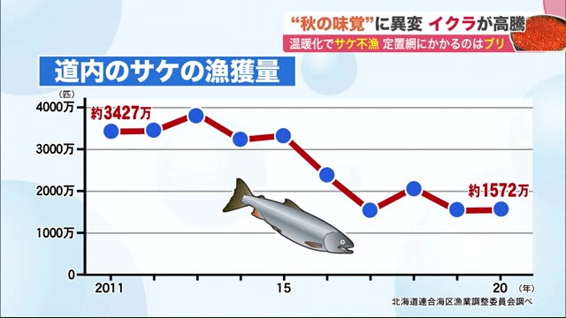 北海道ニュース Uhb Uhb 北海道文化放送