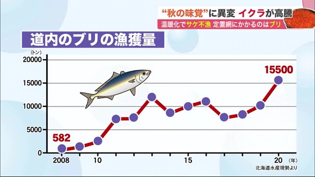 北海道ニュース Uhb Uhb 北海道文化放送