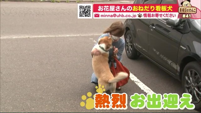 北海道ニュース Uhb Uhb 北海道文化放送