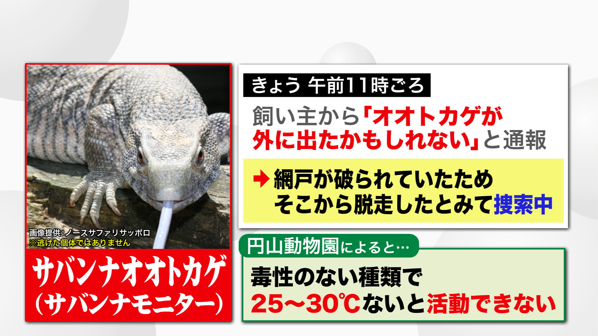 北海道ニュース Uhb Uhb 北海道文化放送 北海道ニュース Uhb Uhb 北海道文化放送