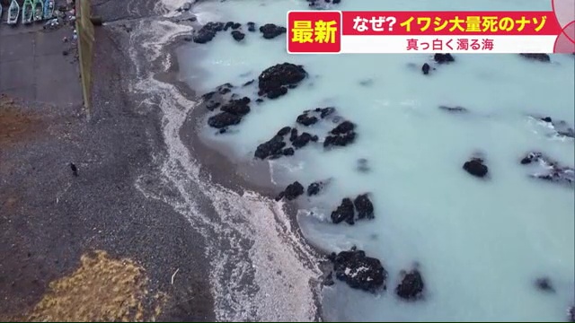 北海道ニュース Uhb Uhb 北海道文化放送