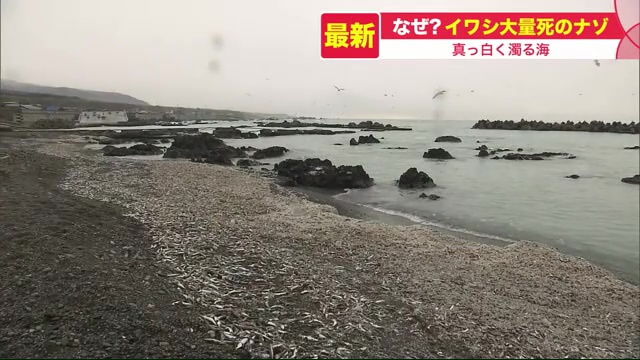 北海道ニュース Uhb Uhb 北海道文化放送